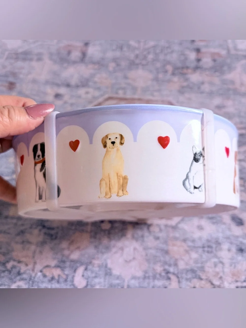 Harvest Green Studio Cream & Lavender Dog Bowl with Red Heart Accents
